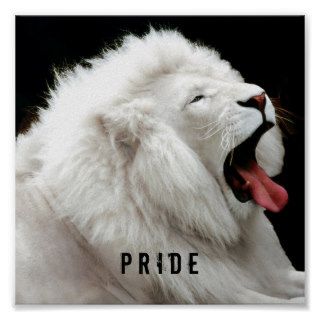white lion Pride Poster