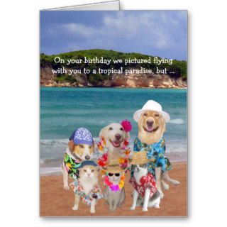 Funny Pets Tropical Paradise Birthday Cards