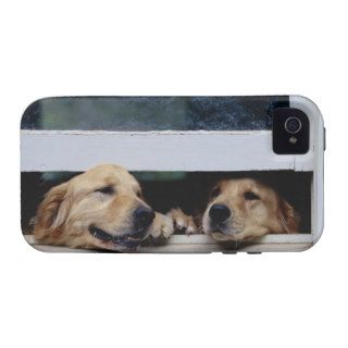 Dogs Looking Out a Window Case Mate iPhone 4 Cover