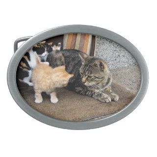 Cat and Kittens Staring at each other Belt Buckle