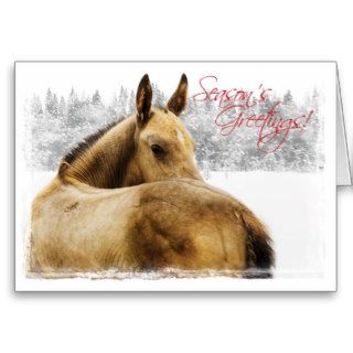 Horse Holiday Christmas Card