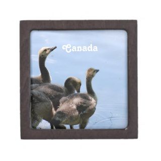 Canadian Geese Premium Jewelry Boxes