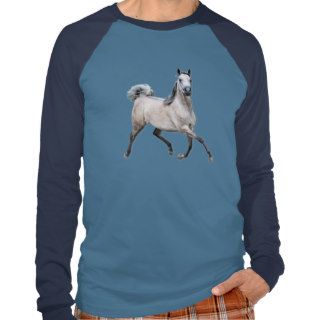 Arabian Horse   Alia T shirt