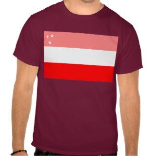 Historical Assyrian Flag (before WWI) Shirt