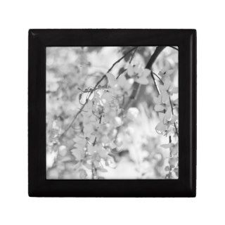 Black and White Blossom Branch Trinket Box