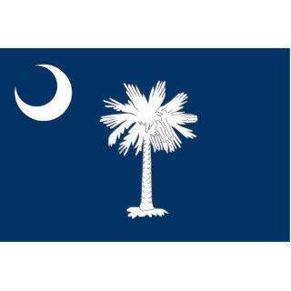 South Carolina, United States flag Photo Sculpture