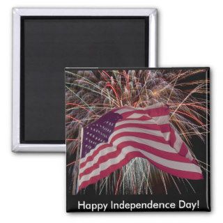 American Flag and Fireworks Refrigerator Magnets