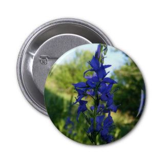 Flowers In Blue Pinback Buttons