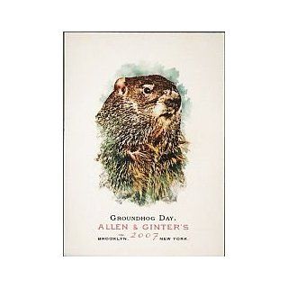 2007 Topps Allen and Ginter #183 Groundhog Day Sports Collectibles