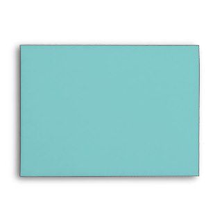 Tiffany Blue Envelope