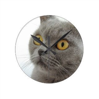 Cat Pet Animal Grumpy Frown Peace Love Destiny Wall Clocks