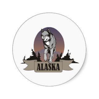 Wolf or coyote among pine trees in Alaska Round Sticker