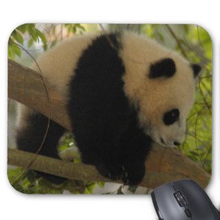 baby panda2 10x10 mousepads