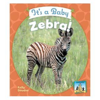 It's a Baby Zebra (Baby African Animals) Kelly Doudna 9781604531602 Books