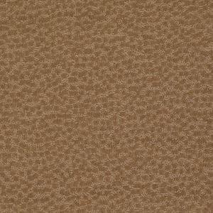 Martha Stewart Living Fairscape   Color Nutmeg 6 in. x 9 in. Take Home Carpet Sample MS 484431