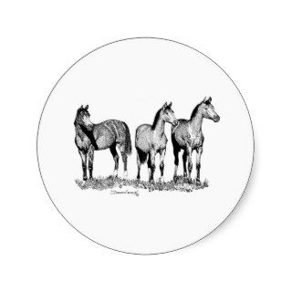 Arabian Horses Stickers