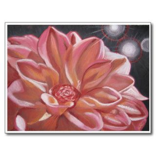 Pink chrysanthemum flower postcard