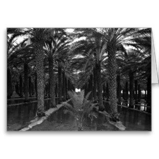 Date Palm Grove during Irrigation, 1966 Card