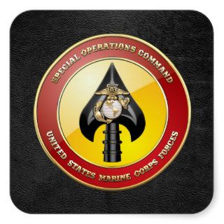 USMC Special Operations Command (MARSOC) [3D] Square Stickers