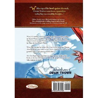 The Adventures of Owain Tridwr (9781479761708) Wyn J Courtney Books