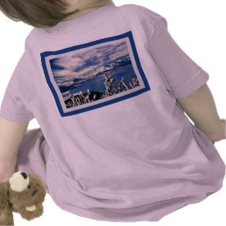 Lake Tahoe in Winter Baby T Shirt