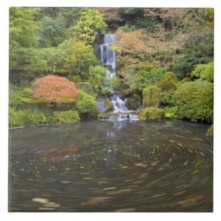 Swirling Pond Below Waterfall Tiles