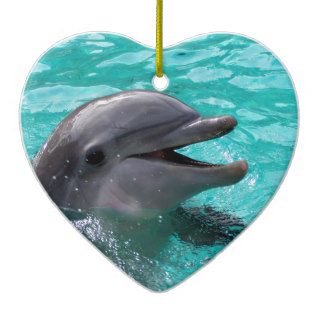 Dolphin head in aquamarine water ornaments