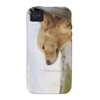 "Dog Head Out Car Window Photo" Vibe iPhone 4 Cases