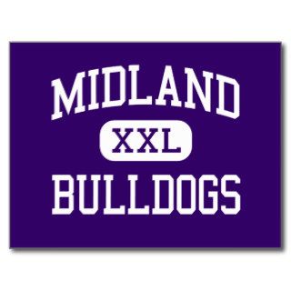 Midland   Bulldogs   High School   Midland Texas Post Cards