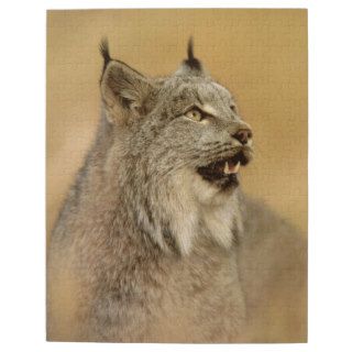 Canada Lynx (Lynx canadensis)   Wild Cats Jigsaw Puzzle