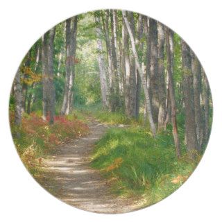 NA, USA, Maine.  Jessup trail in Acadia National Plates