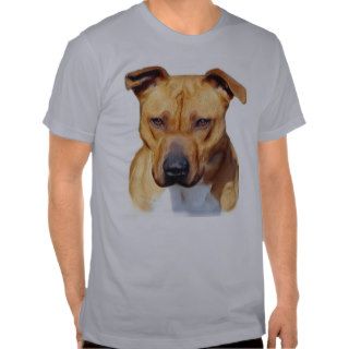 Pitbull fitted t shirt