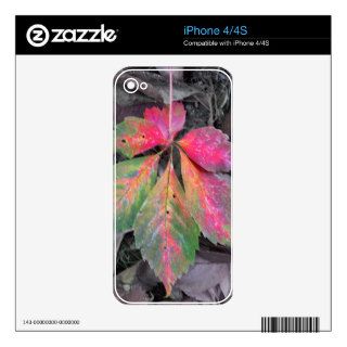 Brilliance Among the Grey   Autumn Leaf Skin For The iPhone 4S