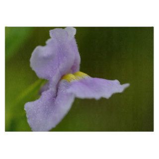 Pale Purple Wild Orchid Flower