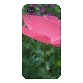 A Lone Poppy iPhone 4/4S Cases