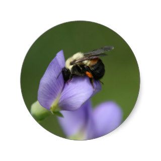 Beautiful Bumble Bee Round Sticker