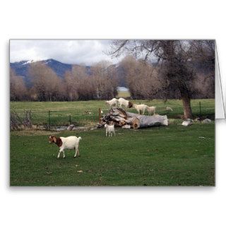 Goats On a Log Card
