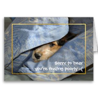 Get well soon dog cards