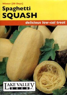 Lake Valley 285 Squash Winter Spaghetti Seed Packet  Vegetable Plants  Patio, Lawn & Garden