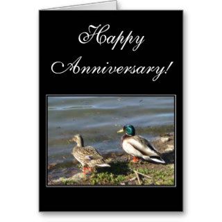 Happy Anniversary Mallard ducks greeting card