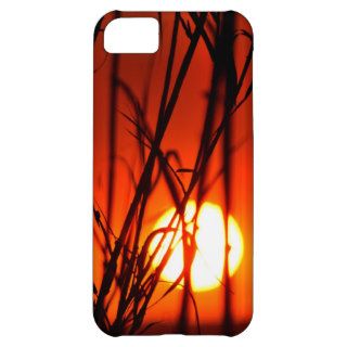 Sunset behind the bamboo iPhone 5C cover
