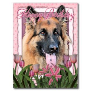 Happy Birthday   German Shepherd   Long Haired Post Cards