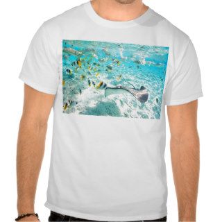 Tropical fishes shirts