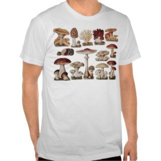 Vintage Botanical Mushrooms Tee Shirts