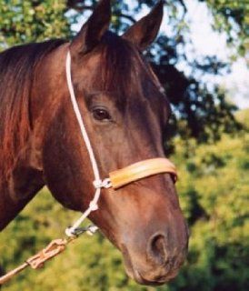 Martin Saddlery Double Rope/Leather Cover Headset Tiedown  Horse Bridles And Reins  Sports & Outdoors
