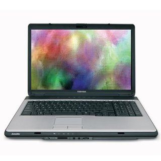 Toshiba Satellite L355 S7831 17 Inch Laptop (2.0 GHz Intel Pentium Dual Core T3200 Processor, 3 GB RAM, 250 GB Hard Drive, DVD Drive, Vista Premium)  Notebook Computers  Computers & Accessories