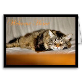 Welcome home. Glad you are home again. cat kitty Greeting Cards