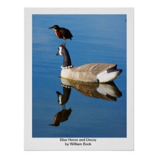 Blue Heron on Duck Decoy by Artist William Bock Posters