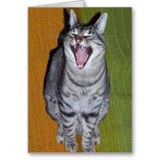 Laughing Cat Card