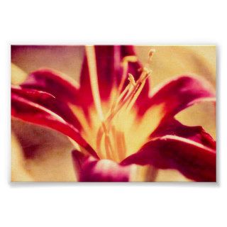 Red Lily Flower   Textured Effect Print